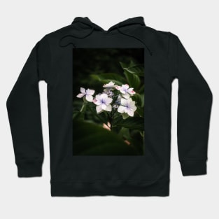 Tea of Heaven, Hydrangea Serrata Hoodie